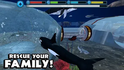 Orca Simulator 스크린샷