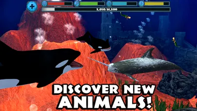 Orca Simulator 스크린샷