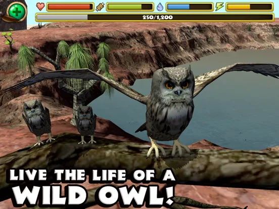Ảnh chụp màn hình của Owl Simulator iPad 