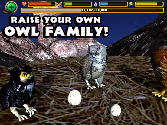 Ảnh chụp màn hình của Owl Simulator iPad 
