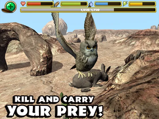 Ảnh chụp màn hình của Owl Simulator iPad 