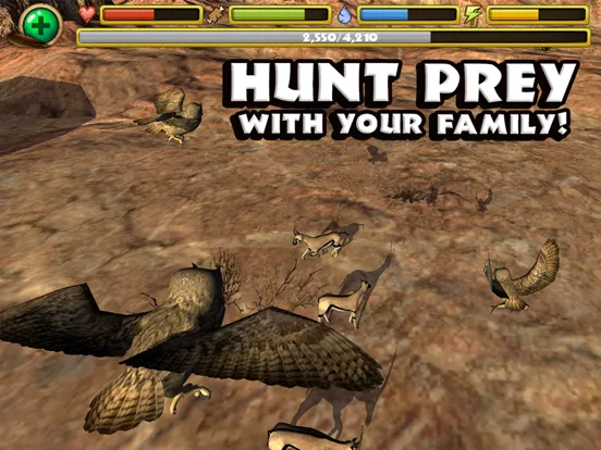 Ảnh chụp màn hình của Owl Simulator iPad 