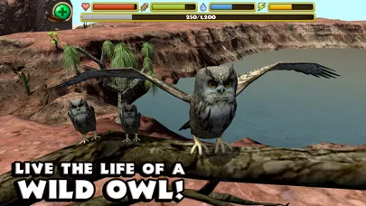 Ảnh chụp màn hình của Owl Simulator