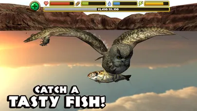 Ảnh chụp màn hình của Owl Simulator