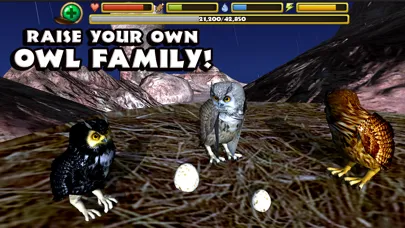 Ảnh chụp màn hình của Owl Simulator