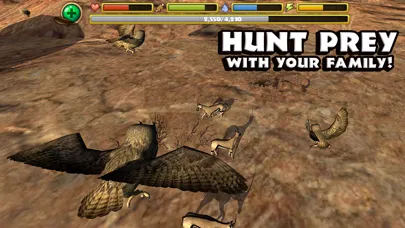 Ảnh chụp màn hình của Owl Simulator