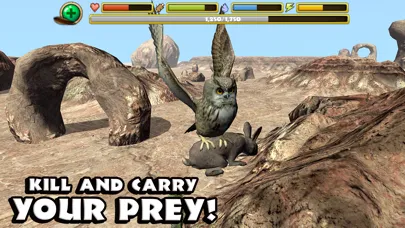 Ảnh chụp màn hình của Owl Simulator