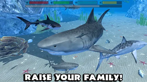 ภาพหน้าจอของ Ultimate Shark Simulator