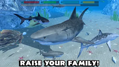 تصاویر Ultimate Shark Simulator