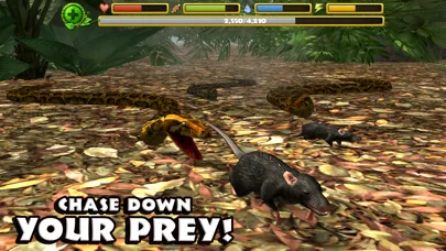 Snake Simulator Ekran Görüntüleri