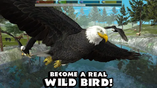 Ultimate Bird Simulator स्क्रीनशॉट