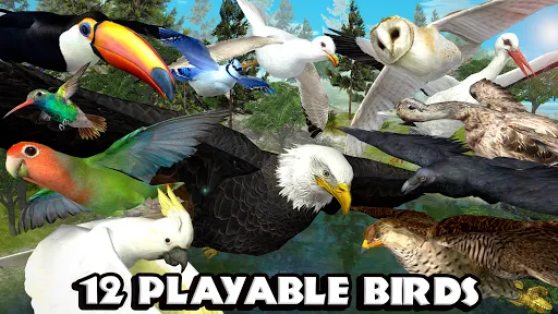 Ultimate Bird Simulator स्क्रीनशॉट