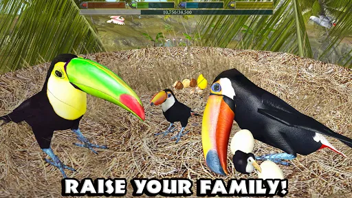 Ultimate Bird Simulator स्क्रीनशॉट