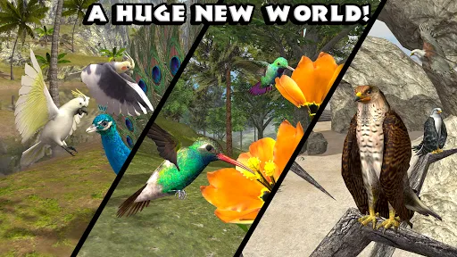 Ultimate Bird Simulator स्क्रीनशॉट