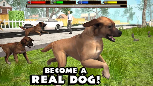 Ultimate Dog Simulator Screenshots