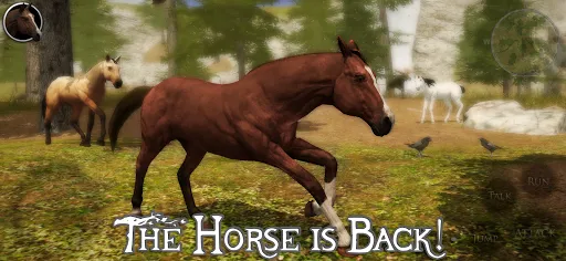 Ultimate Horse Simulator 2 Screenshots