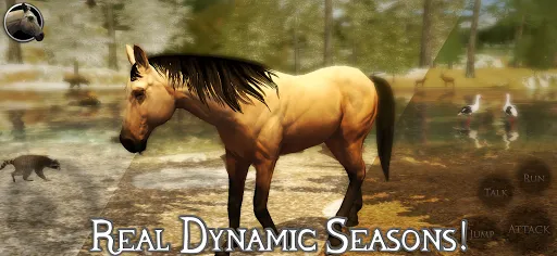 Ultimate Horse Simulator 2 Screenshots