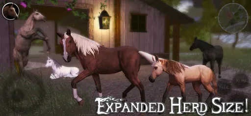 Ultimate Horse Simulator 2 Screenshots