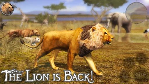 Ultimate Lion Simulator 2 Screenshots