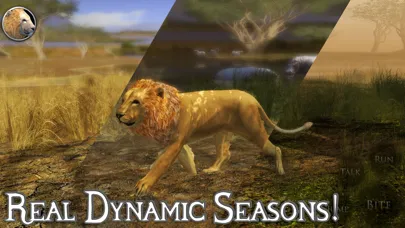 Capturas de pantalla de Ultimate Lion Simulator 2