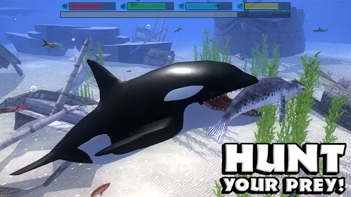 ภาพหน้าจอของ Ultimate Ocean Simulator