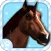 Virtual Pet Horse