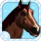 Virtual Pet Horse