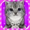 Virtual Pet Kitten