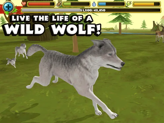 Capturas de pantalla de Wildlife Simulator: Wolf iPad 