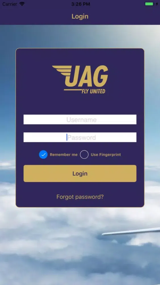 Zrzuty ekranu United Aviation Group