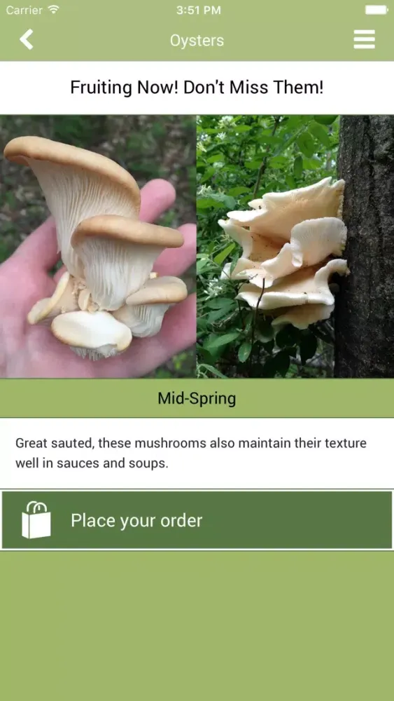 Captures d'écran de My Forager
