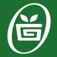 Orders IO