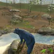 Wild Canine Beneath the Moon