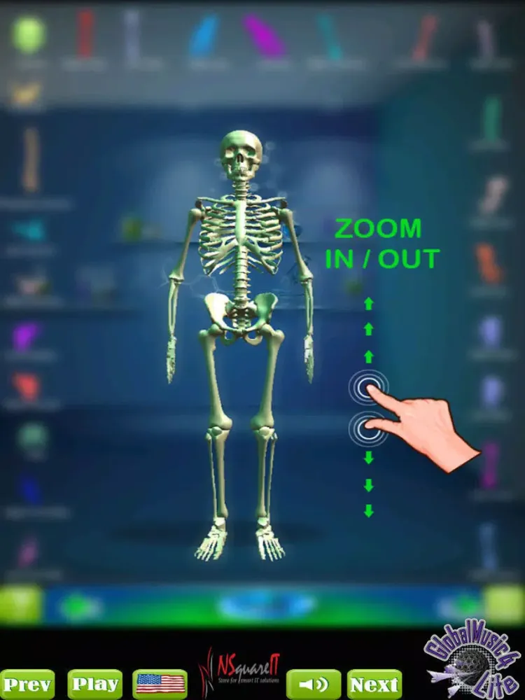 تصاویر GM4L Skeleton Bone Game iPad 