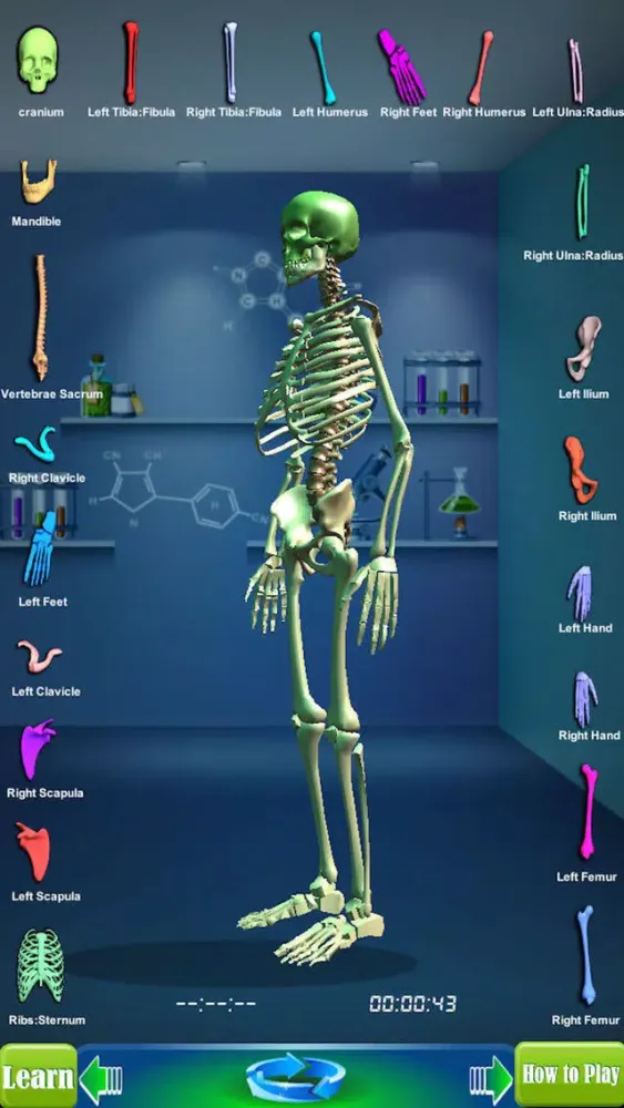 تصاویر GM4L Skeleton Bone Game