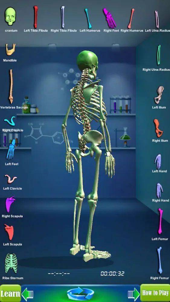 تصاویر GM4L Skeleton Bone Game