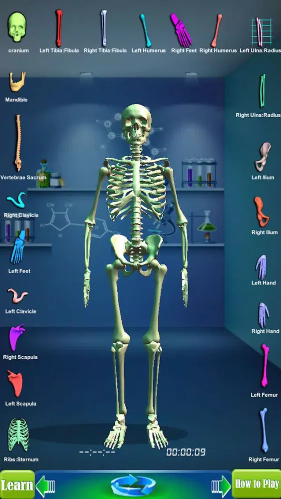 تصاویر GM4L Skeleton Bone Game