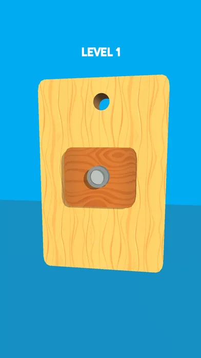 Pin Board Puzzle Screenshots