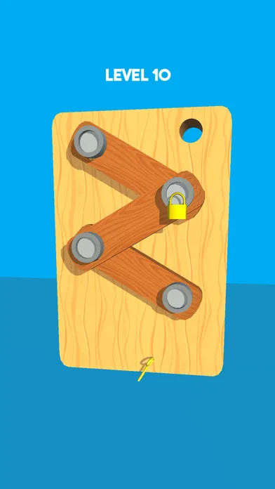 Pin Board Puzzle Screenshots