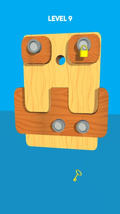 Pin Board Puzzle Screenshots
