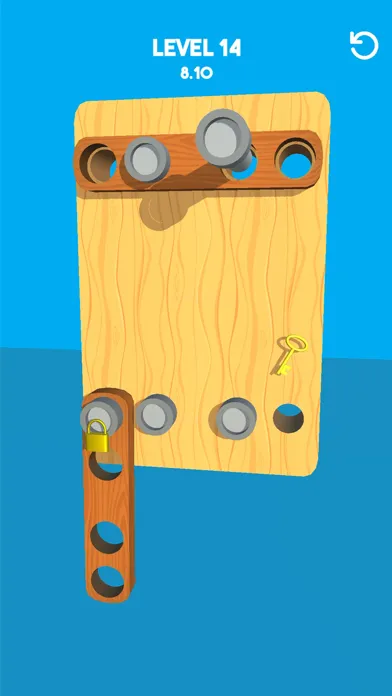 Pin Board Puzzle Screenshots