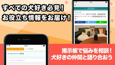 いぬポータル -犬の飼い方やしつけの悩みを解決- スクリーンショット