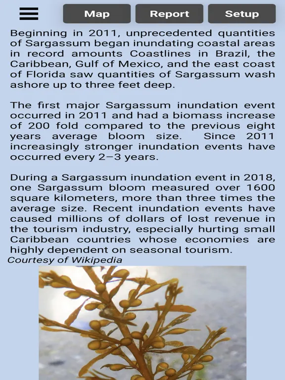 Sargassum iPad  স্ক্রিনশট