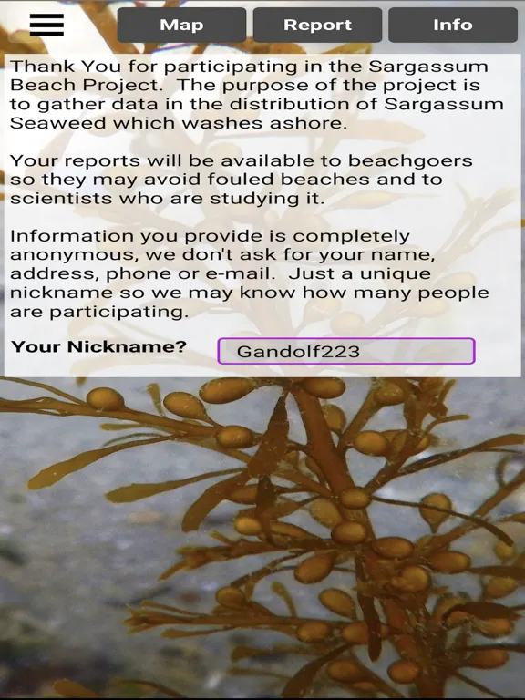 Sargassum iPad  স্ক্রিনশট