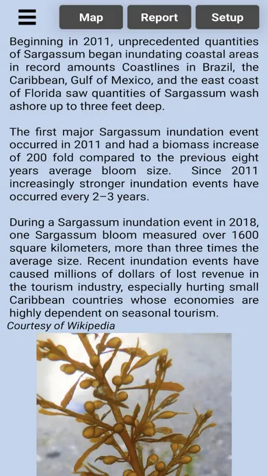 Sargassum স্ক্রিনশট