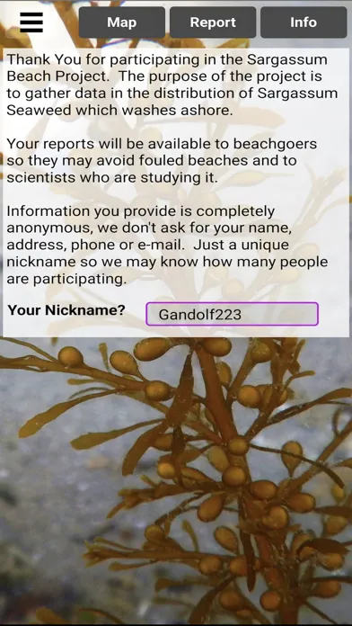 Sargassum স্ক্রিনশট