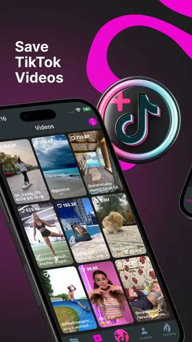 صور TikSaver - Planner & Organizer