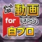 ゲーム実況動画まとめ for 白猫プロジェクト（白プロ）