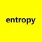 entropy 81