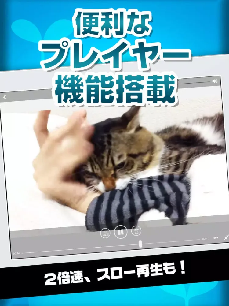 WEBMOBI WEBM Browser app iPad 应用截图